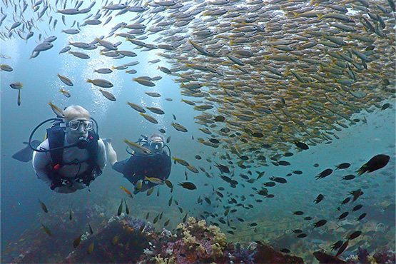 SSI Try Scuba